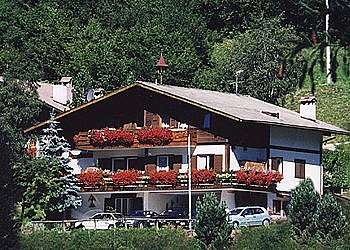 Apartments in Moena - Summer - Photo ID 793