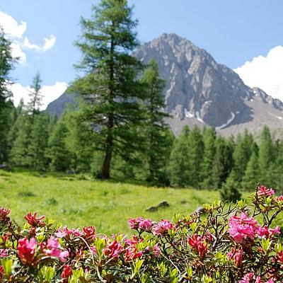 I Suoni delle Dolomiti