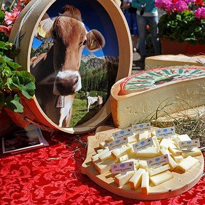 Festival del Puzzone di Moena