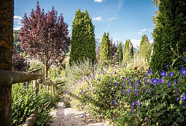 Hotel 3 stars S in Moena - Garden - Photo ID 1380