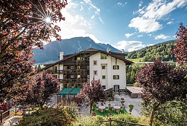 Hotel 3 stelle S a Moena - Esterne - ID foto 1383