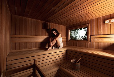 Appartamento a Moena - Wellness - ID foto 1484