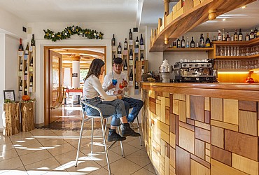 Hotel 3 stelle a Moena - Zone comuni - ID foto 1519