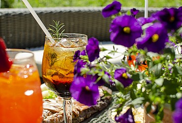 Hotel 3 stelle a Moena - Giardino - ID foto 1525