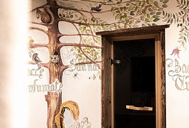 Hotel 3 stelle S a Moena - Wellness - ID foto 1732