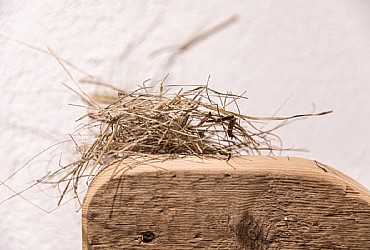 Hotel 3 stars S in Moena - Wellness - Photo ID 1734