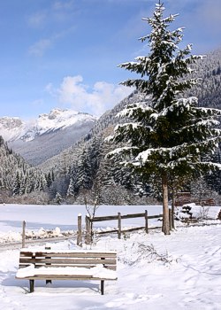 Privati a Moena - Gallery - ID foto 197