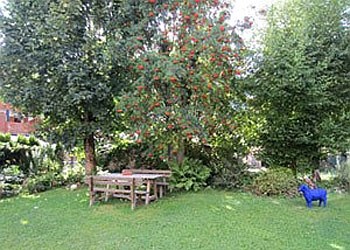 Privati a Moena. Il giardino con sezione per stendere la biancheria all'aria, viene curato con passione,  dalla padrona di casa.