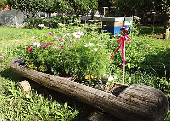 Privati a Moena - Giardino - ID foto 798