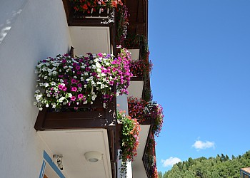 Hotel 3 stelle a Moena - Esterne - ID foto 936
