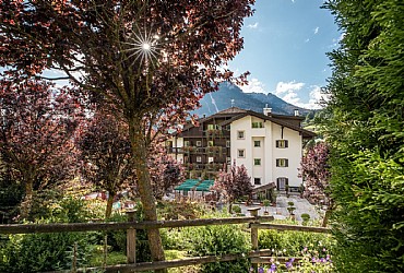 Hotel 3 stelle S a Moena - Esterne - ID foto 984
