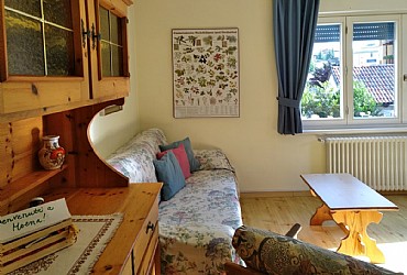 Privati a Moena - Bilo - ID foto 363