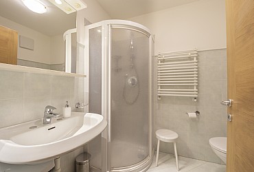 Apartments in Moena - Type 1 - Photo ID 475