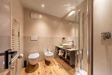 Hotel 3 stars S in Moena - Camera Doppia - Photo ID 519