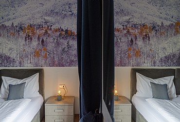 B&B 3 stars in Moena - Dolomites Room - Photo ID 522