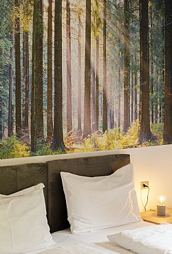 B&B 3 stars in Moena - Dolomites Room - Photo ID 528