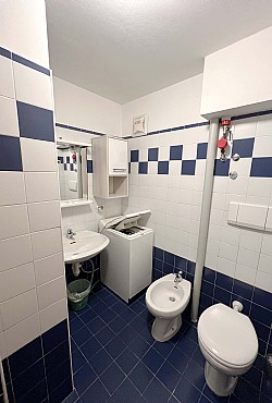 Privati a Moena - Genziana - ID foto 537