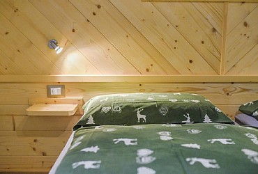 Apartments in Moena - Type 1 - Photo ID 586