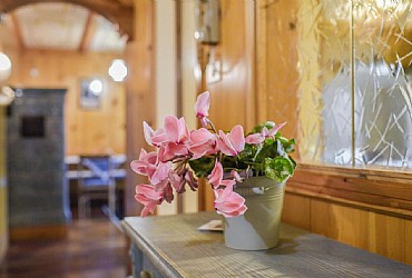 Apartments in Moena - Type 2 - Photo ID 603