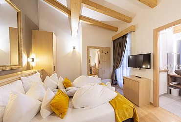 Apartments in Moena - Type 1 - Photo ID 630