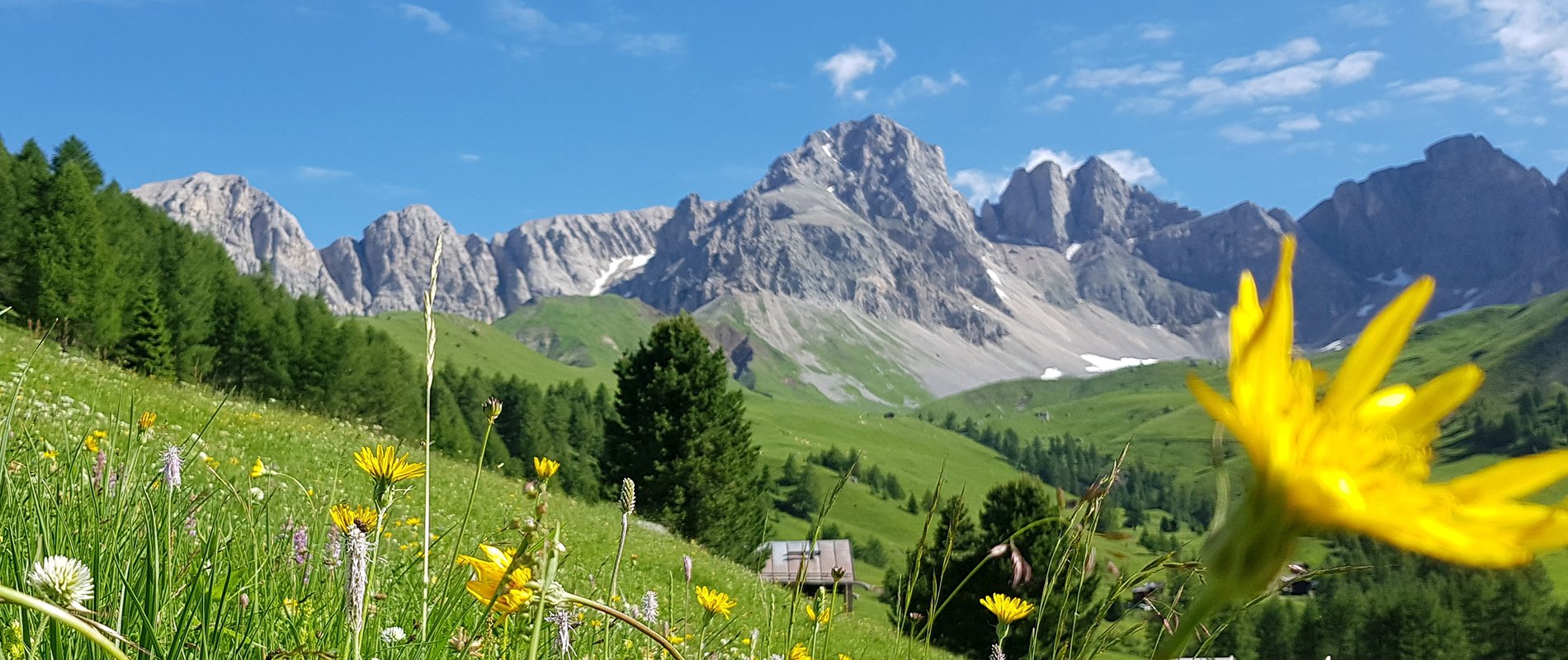 Conca Di Fuciade Val Di Fassa